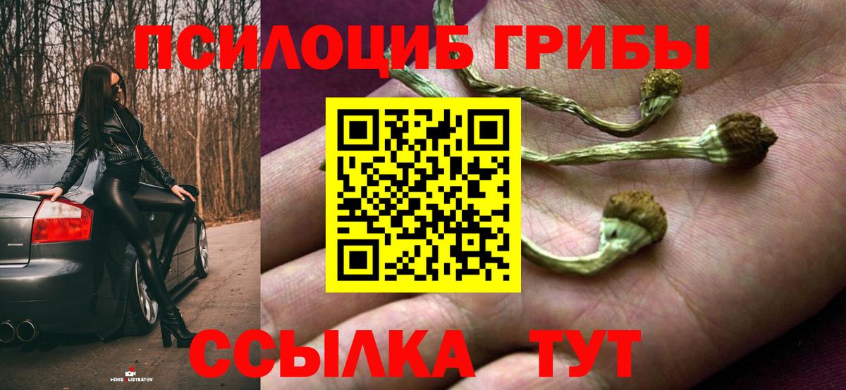 Псилоцибиновые грибы Magic Shrooms Тутаев