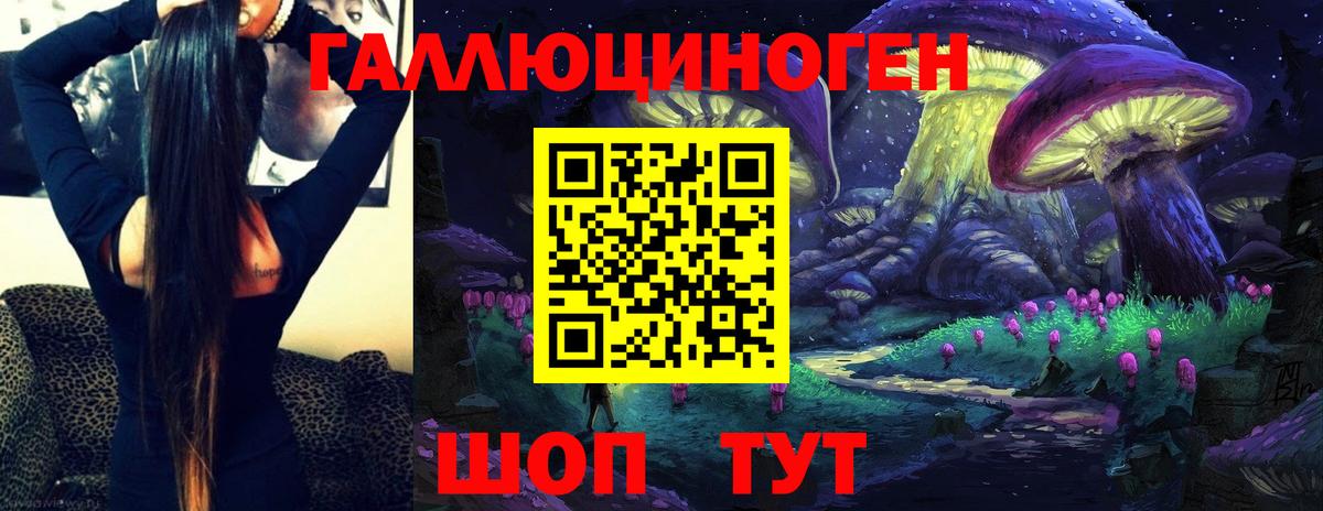 Галлюциногенные грибы Magic Shrooms  Вход с VPN  купить   Тутаев  Псилоцибиновые грибы GOLDEN TEACHER 