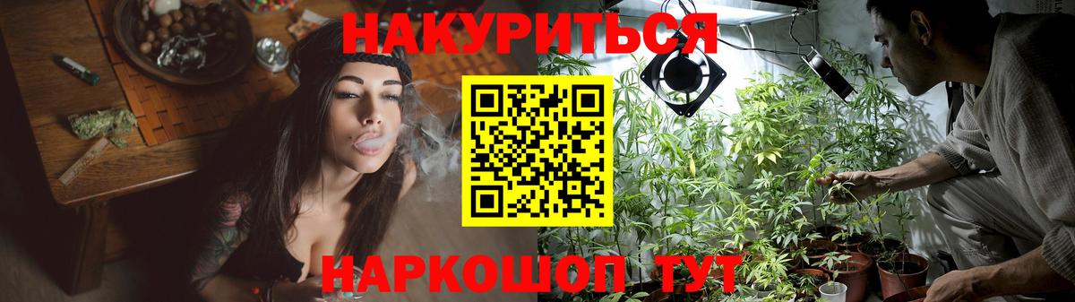 Тутаев  Конопля планчик  Вход с VPN  МАРИХУАНА SATIVA & INDICA 